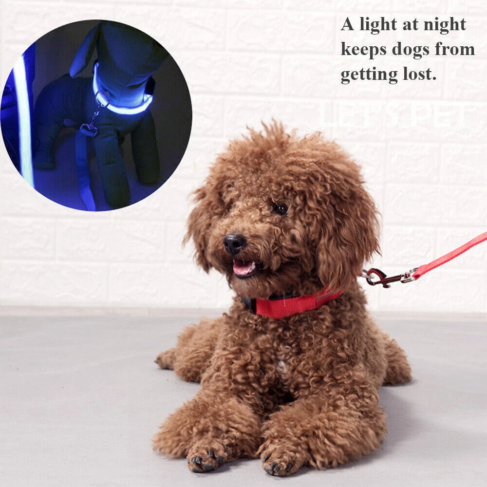 LED Glowing Dog Collar