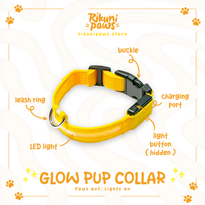 Glow Pup Collar