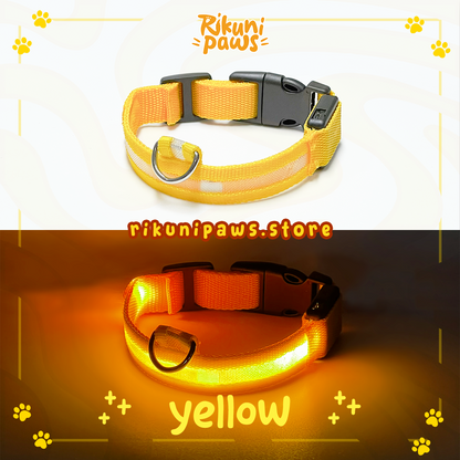 Glow Pup Collar