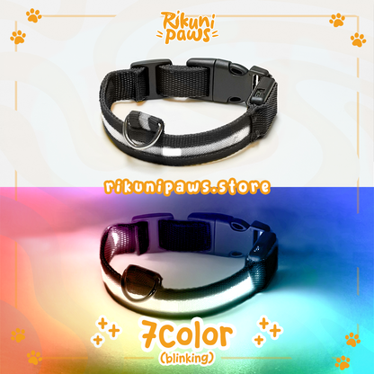 Glow Pup Collar