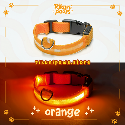 Glow Pup Collar