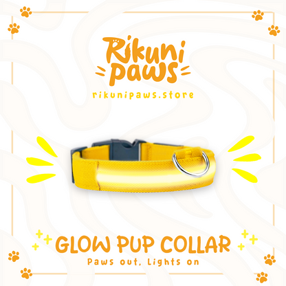 Glow Pup Collar