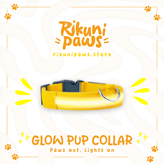 Glow Pup Collar