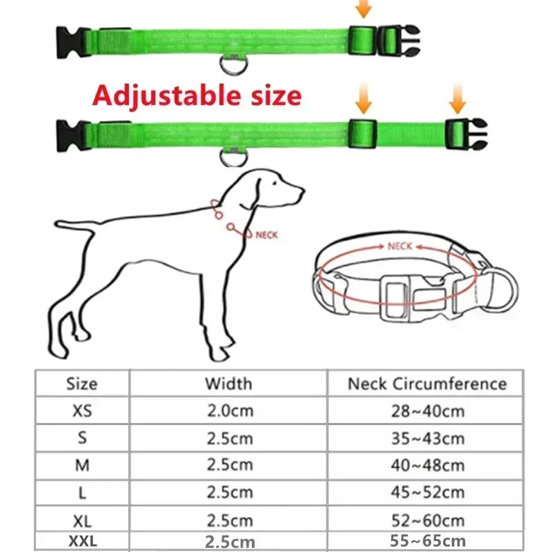 LED Glowing Dog Collar 