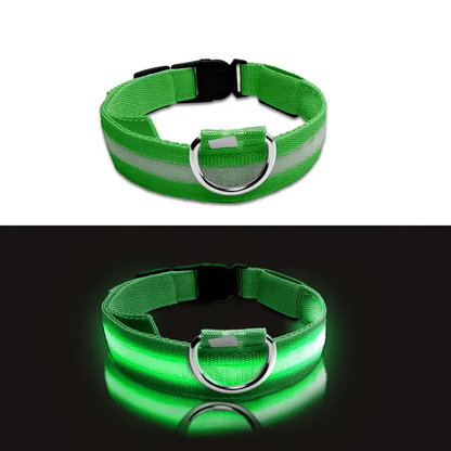 LED Glowing Dog Collar