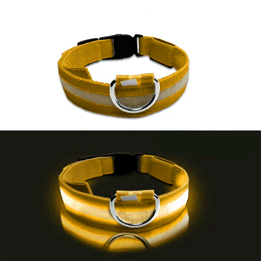 LED Glowing Dog Collar