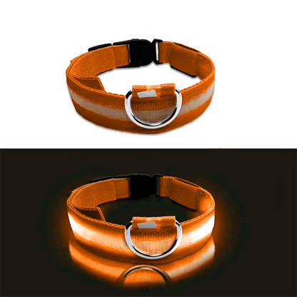 LED Glowing Dog Collar